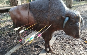 Mandat Concours Nature Yvetot