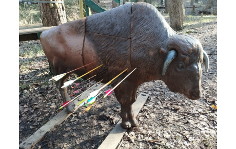 Mandat Concours Nature Yvetot