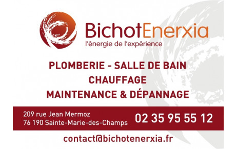 Bichot