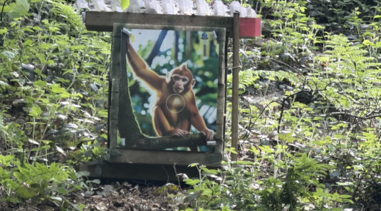 Résultats Concours Nature Yvetot